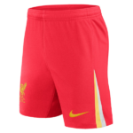 オーセンティックNike リバプールFC ショーツ NIKE リバプール リヴァプール ユニフォーム パンツ ショーツ