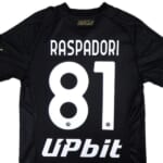 NAP-ST2324-RASPADORI